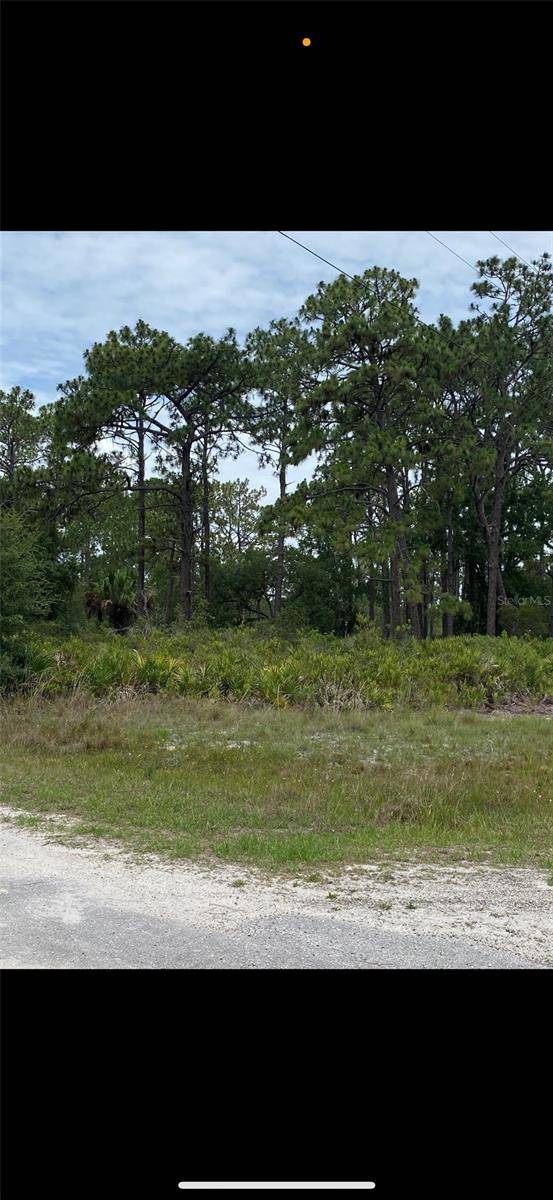 Indian Lake Estates, FL 33855,602 BOUGAINVILLE DR