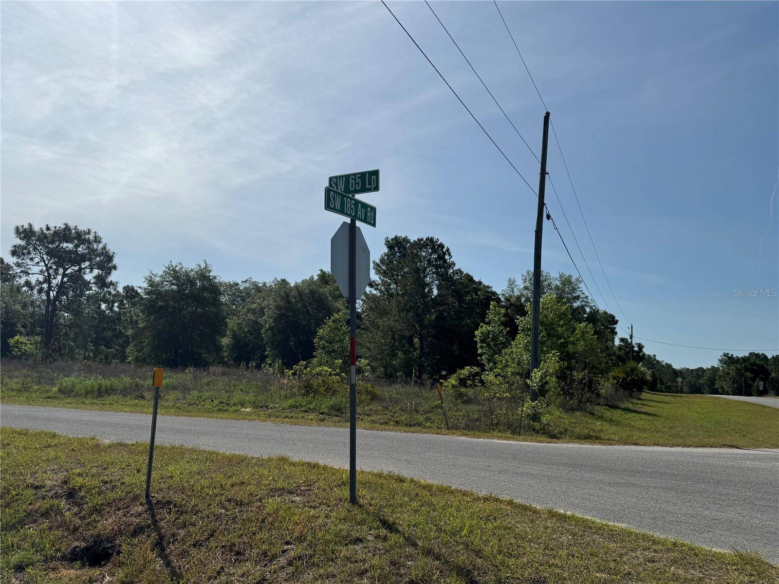 Dunnellon, FL 34432,Lot 1 SW 65TH LOOP