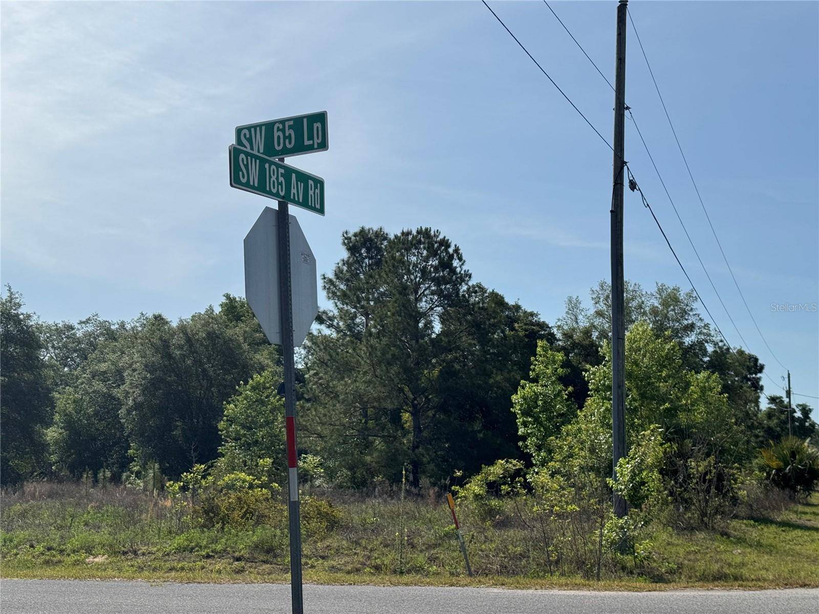 Dunnellon, FL 34432,Lot 1 SW 65TH LOOP