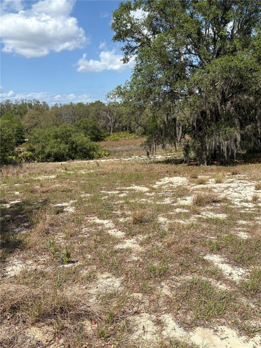 Babson Park, FL 33827,0 DICKS RD