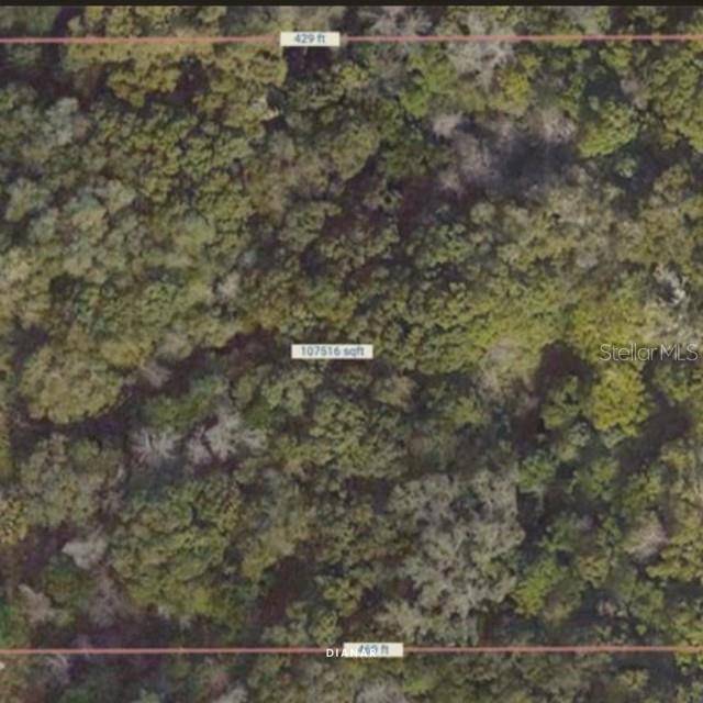 Deland, FL 32720,S. CLARA