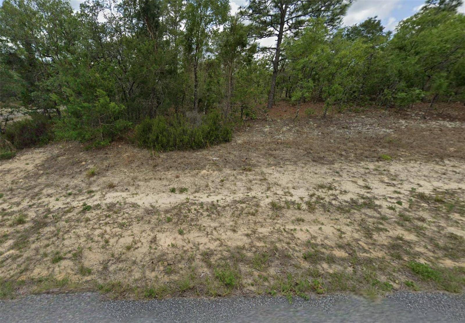 Citrus Springs, FL 34433,3804 W BATON LN