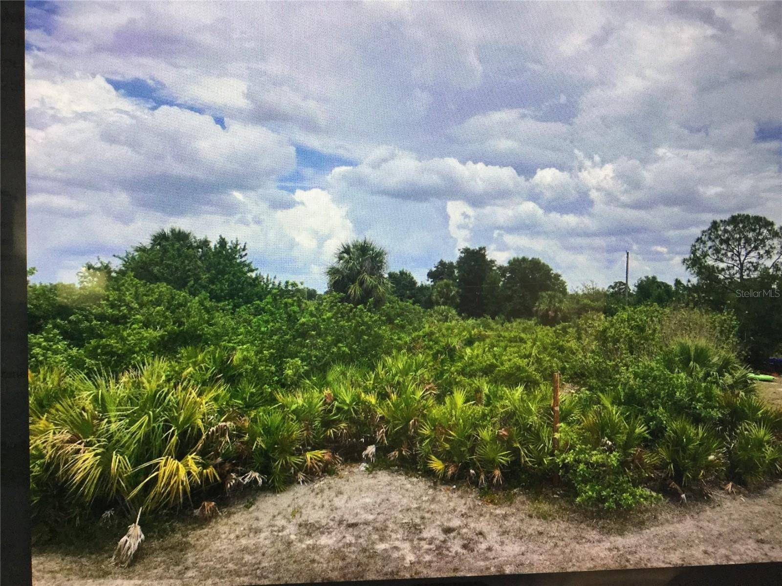 Lehigh Acres, FL 33972,1218 CORTEZ AVE