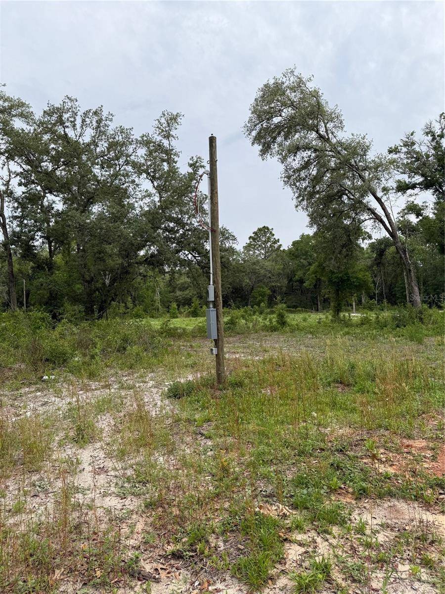 Dunnellon, FL 34432,10155 SW 158TH LN