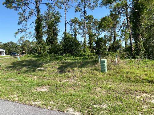 Kissimmee, FL 34759,XXX BOWFIN CT