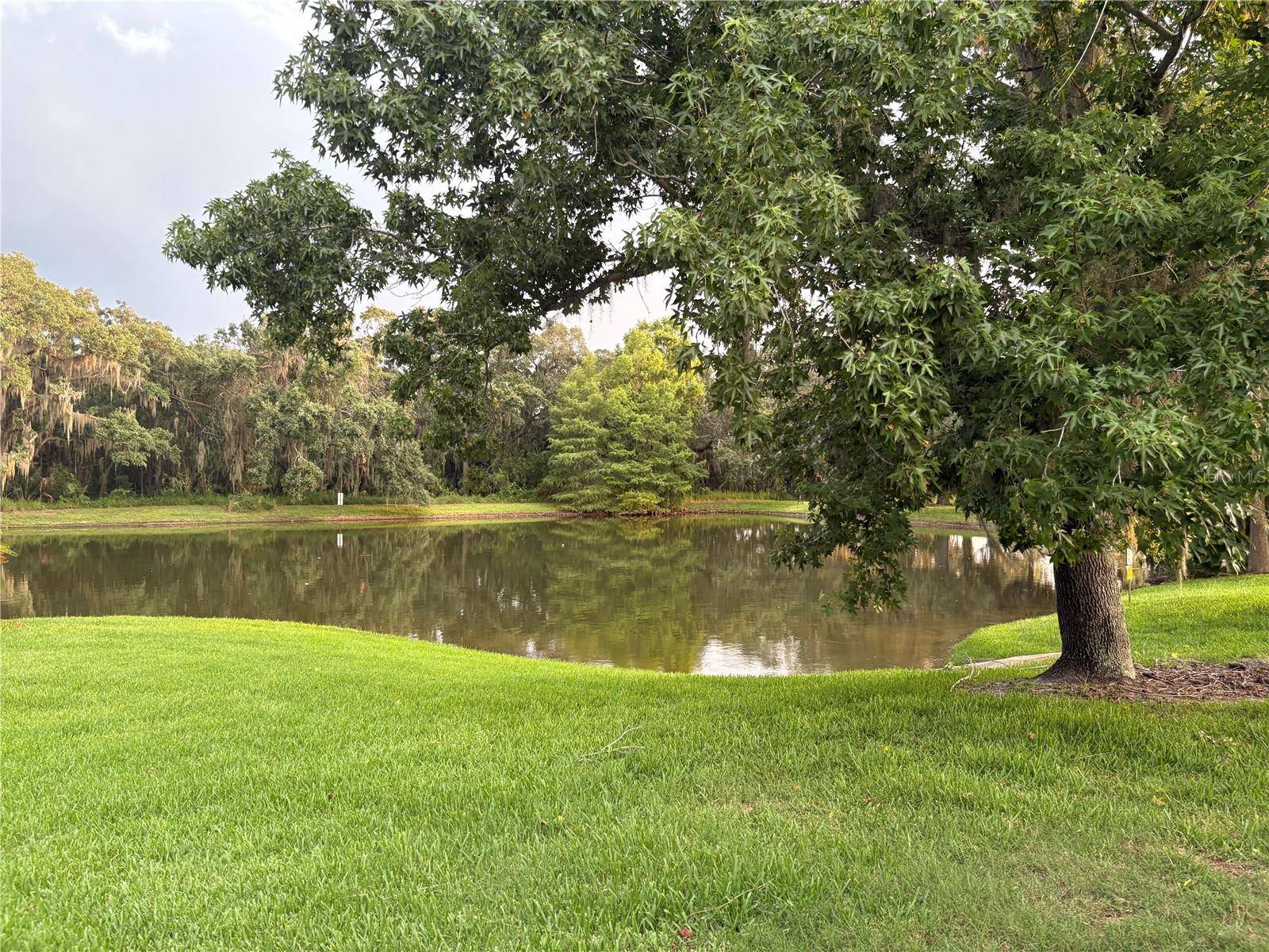 Kissimmee, FL 34744,1164 JADE EAST LN