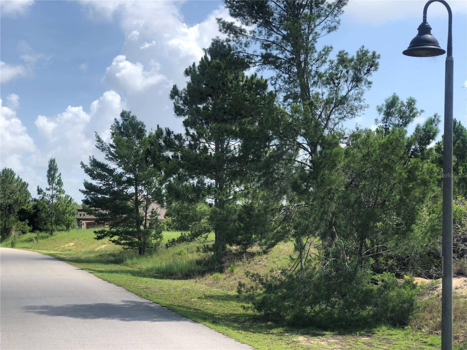 Sebring, FL 33875,1005 HAWKS LANDING DR