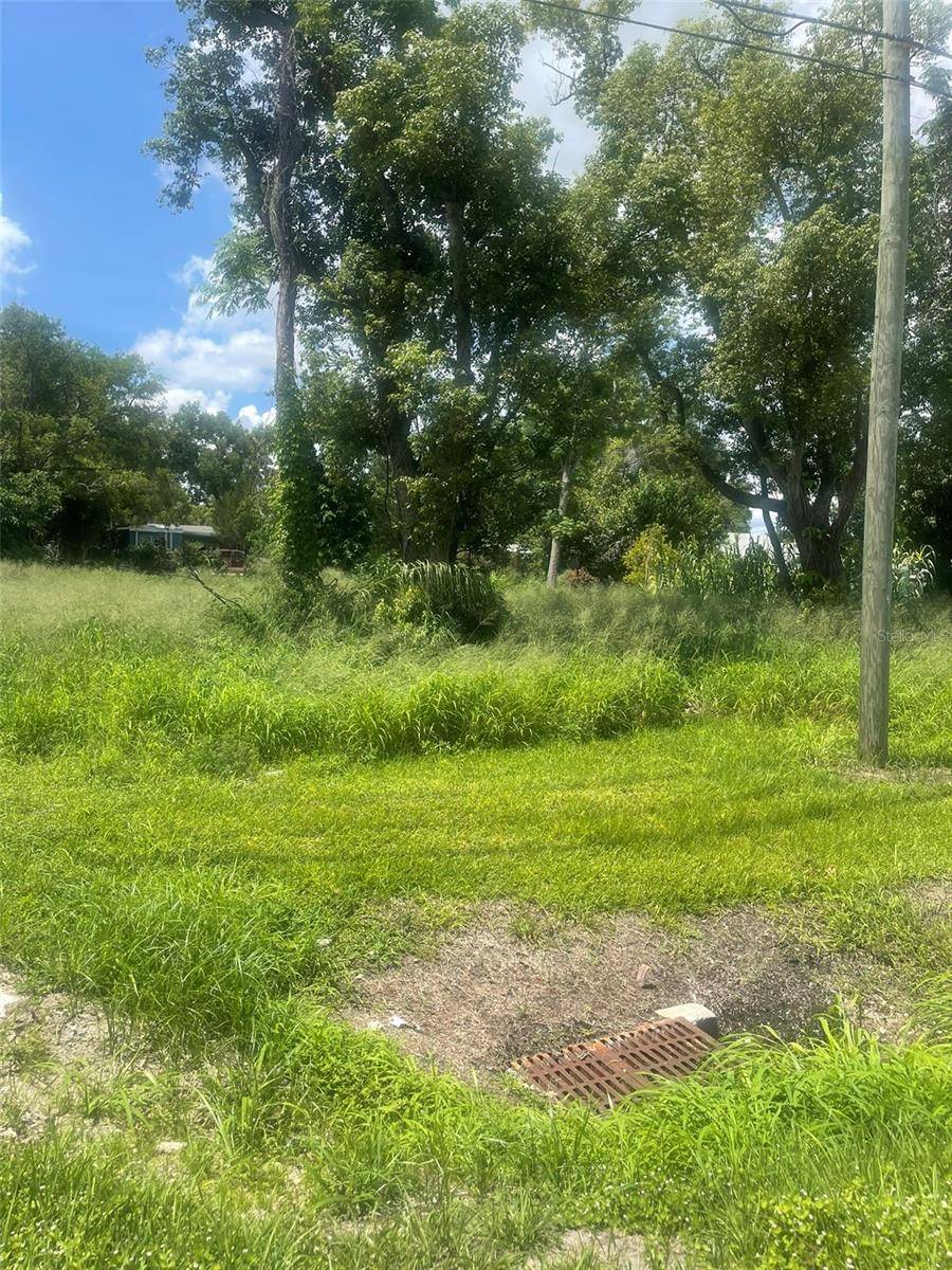 Groveland, FL 34736,14435 OAK ST