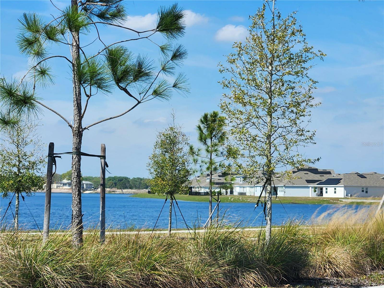 St Cloud, FL 34771,3049 ELLA WAY