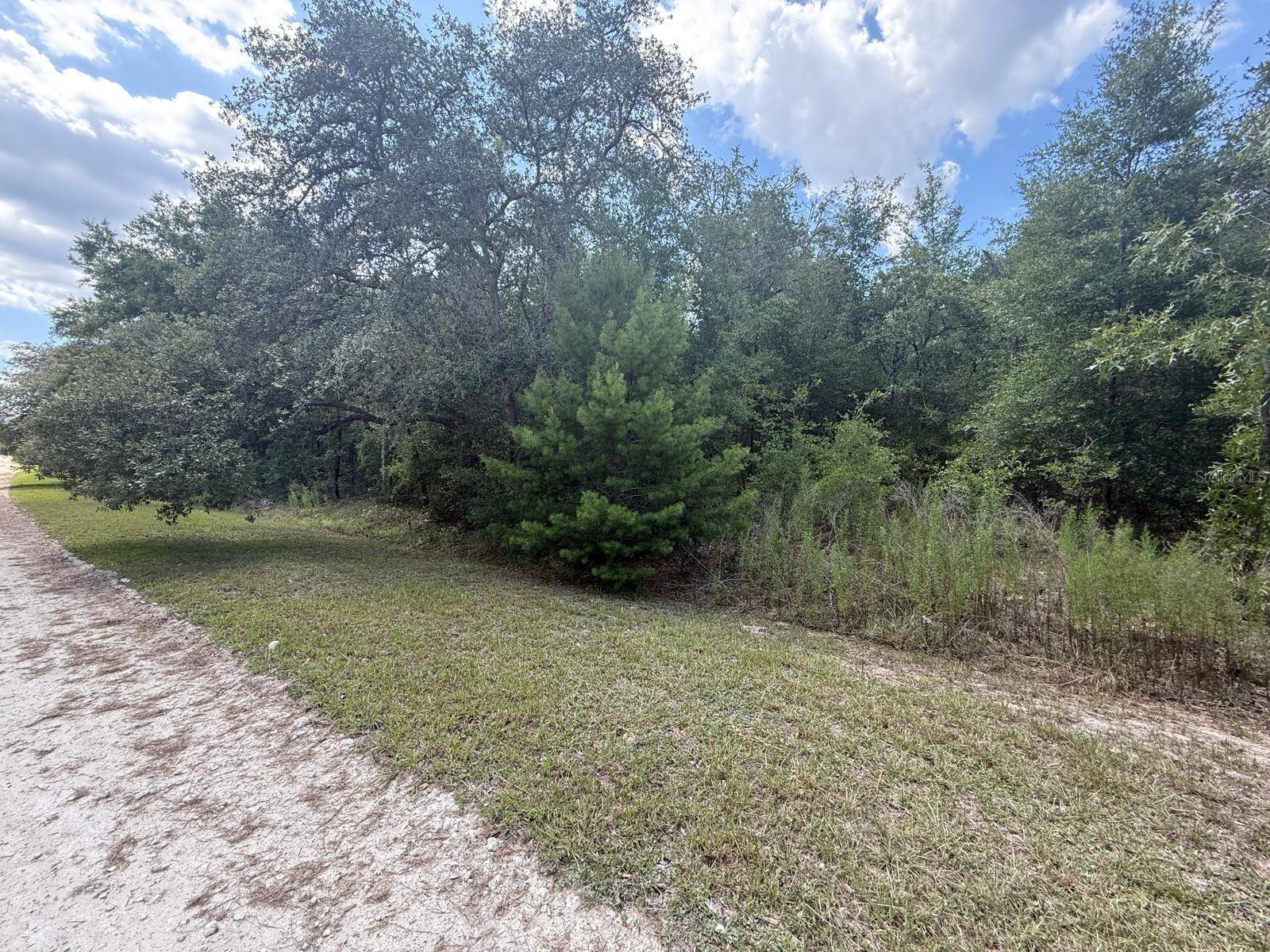 Dunnellon, FL 34432,TBD 98TH ST