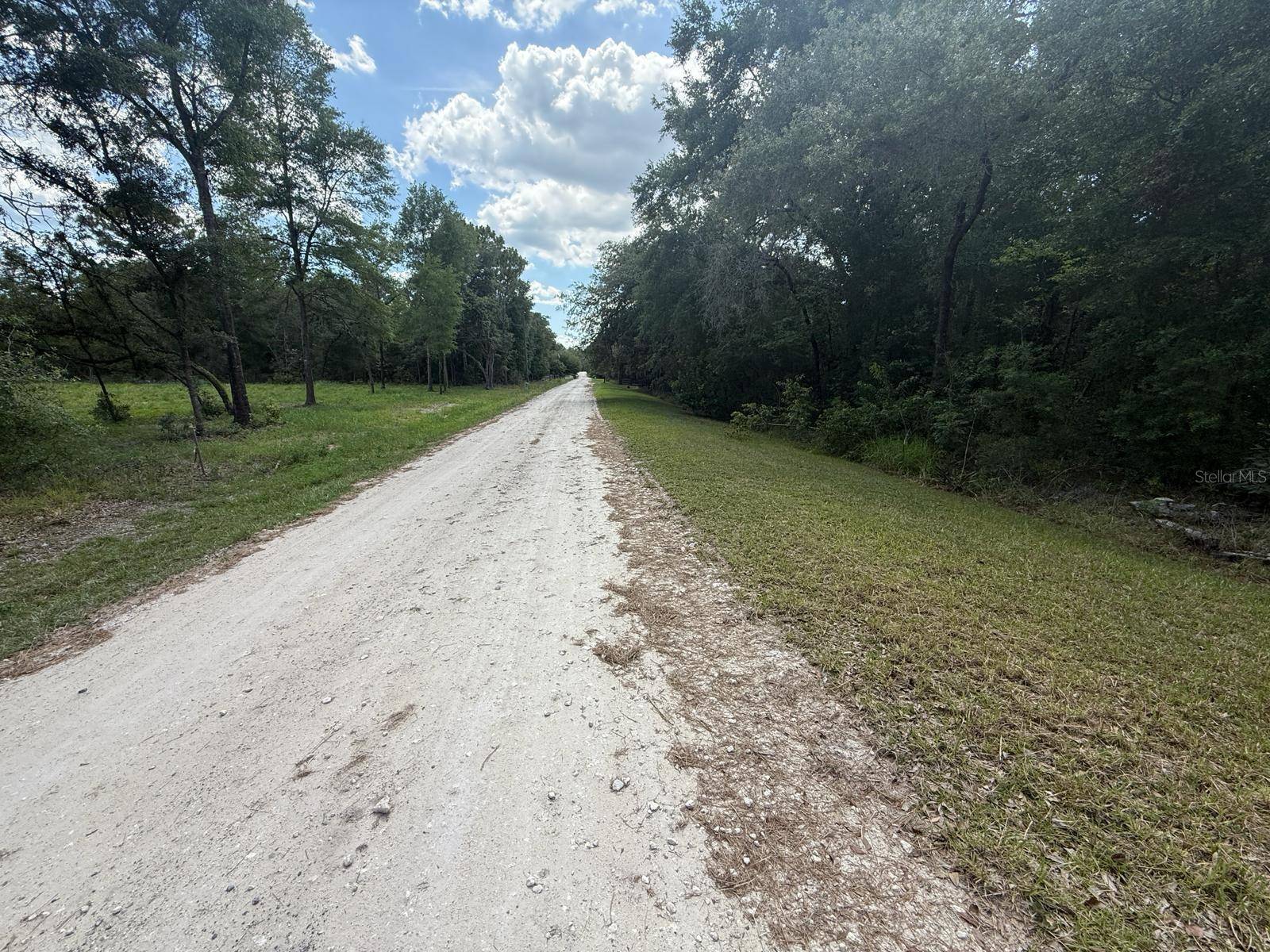 Dunnellon, FL 34432,TBD 98TH ST