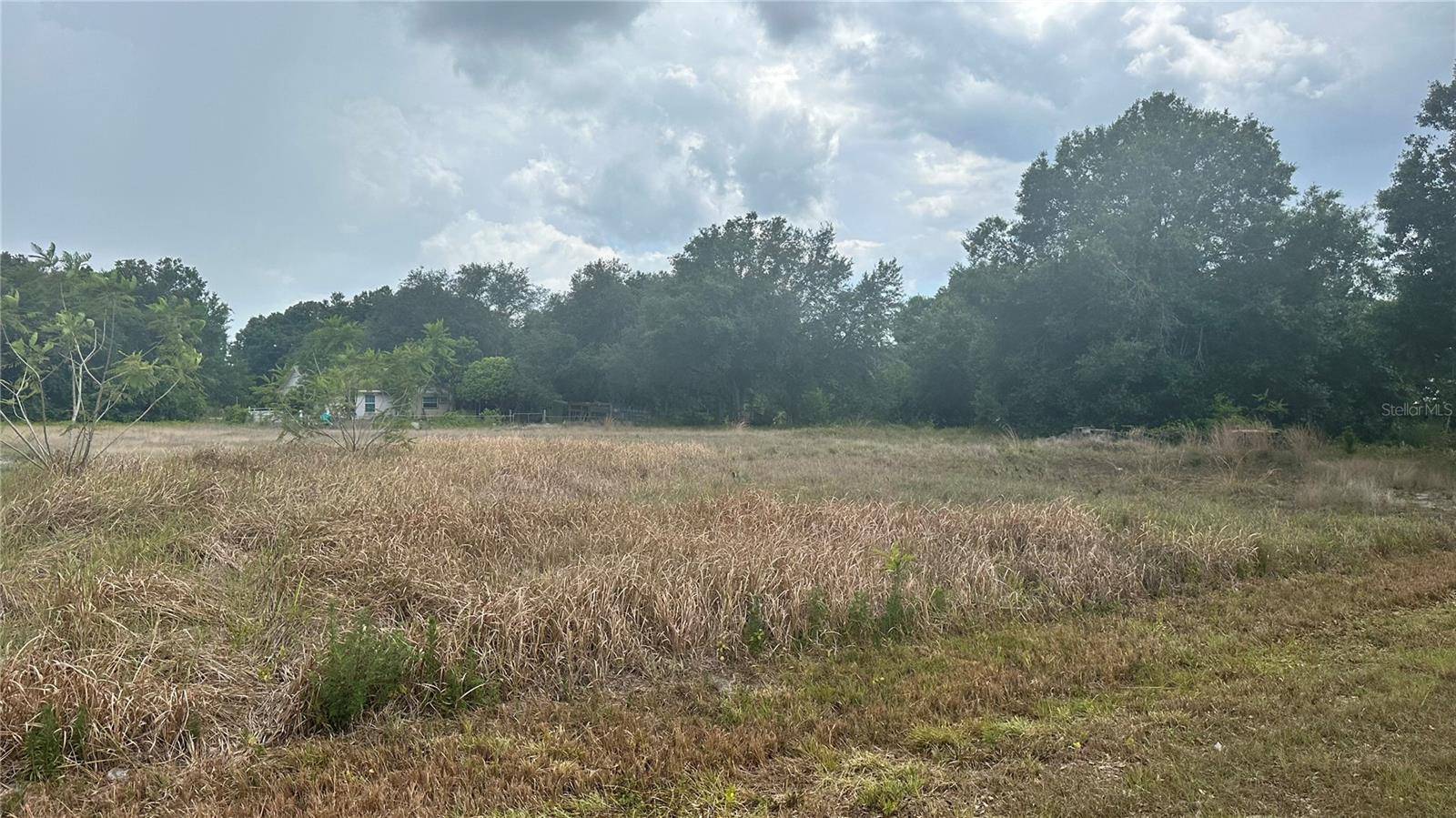 Avon Park, FL 33825,2915 W LANETT RD