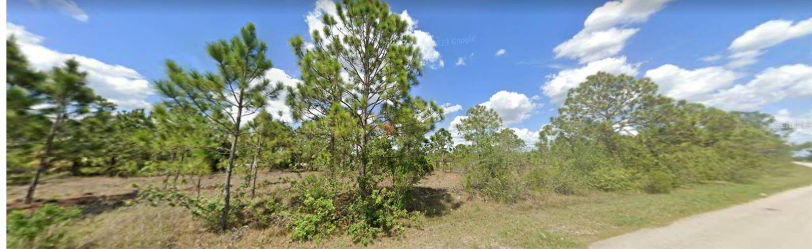 Fort Myers, FL 33913,1127 BRIARCLIFFE ST