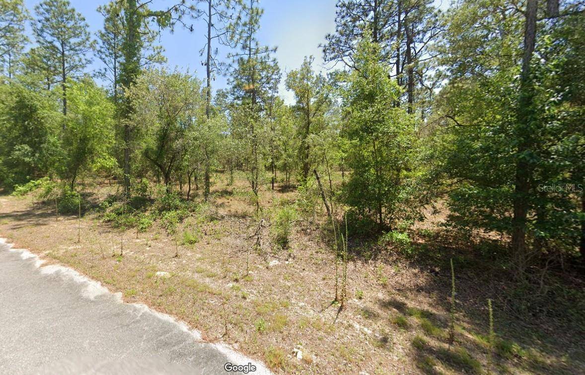 Dunnellon, FL 34431,24262 NW ASPEN LANE