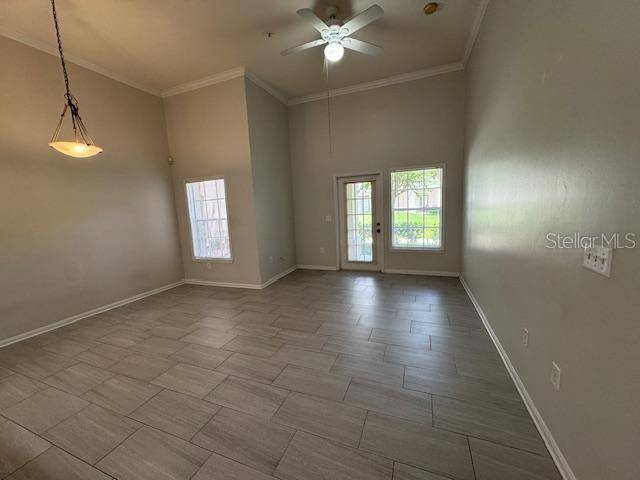Celebration, FL 34747,667 CELEBRATION AVE