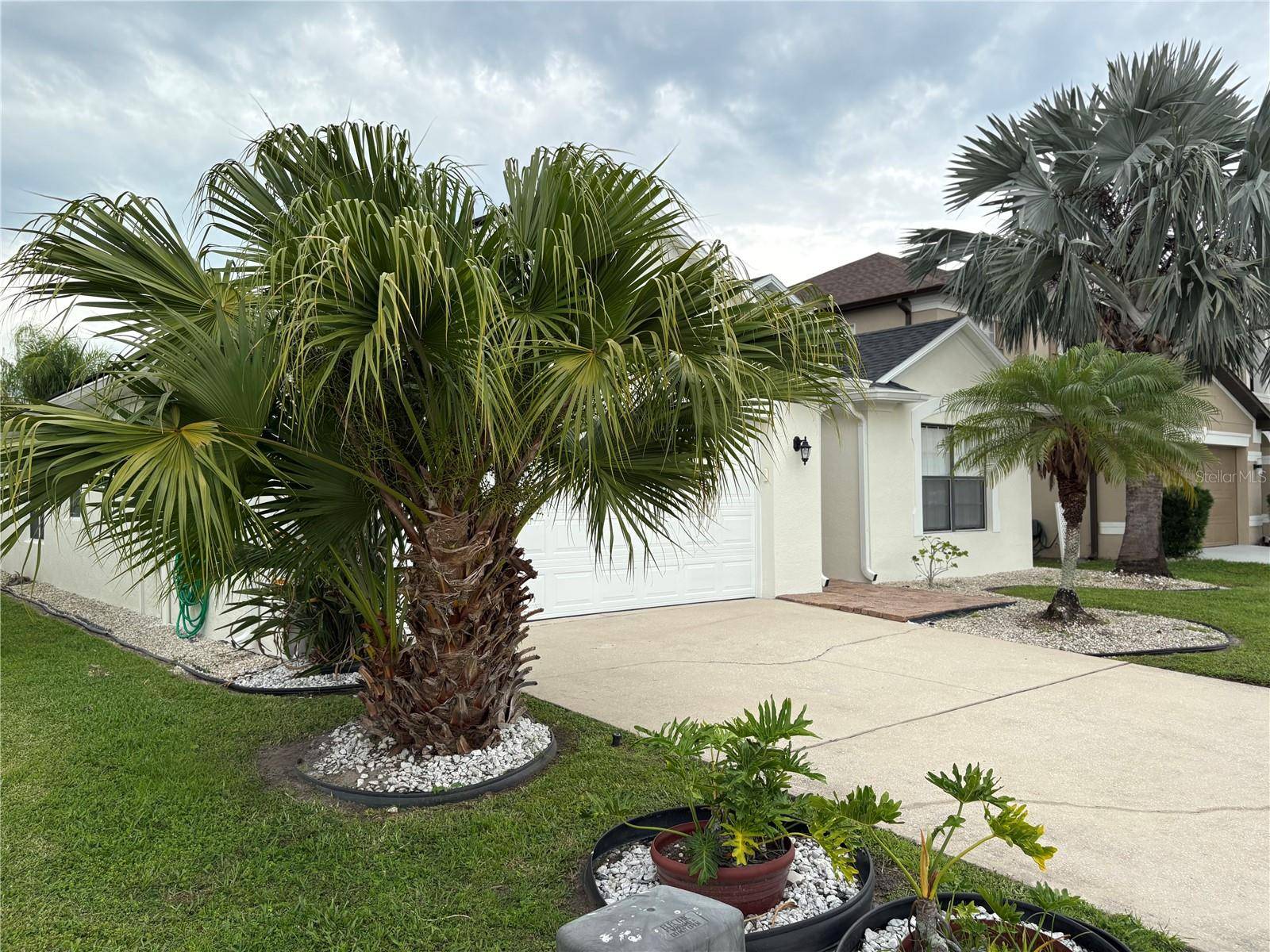Kissimmee, FL 34758,2812 TOWER ROCK ST
