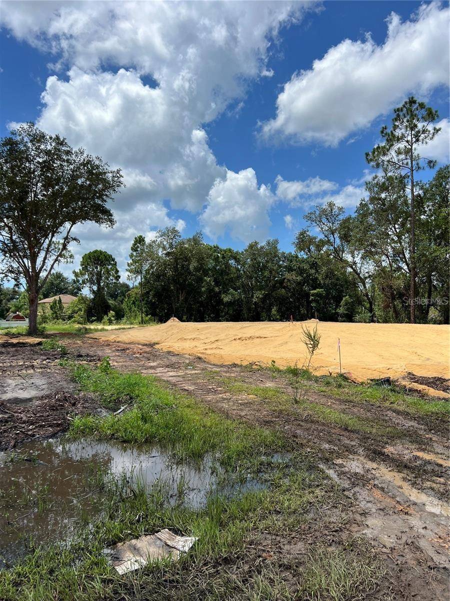 Kissimmee, FL 34759,210 SPOONBILL DR