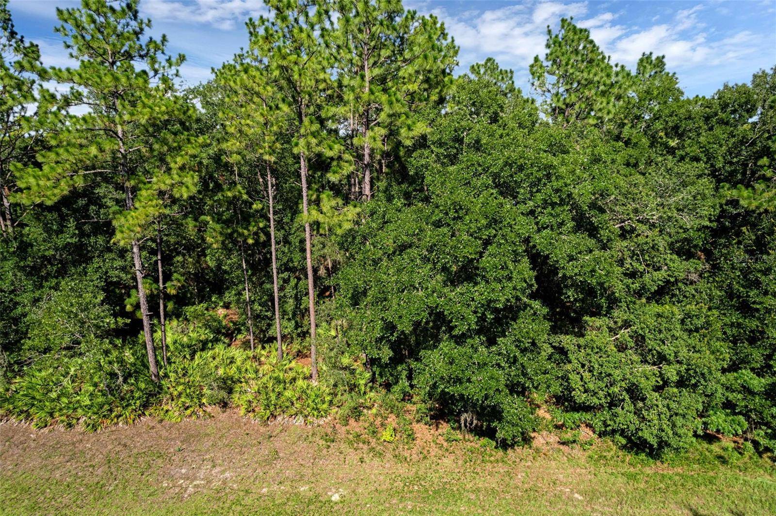 Dunnellon, FL 34434,6733 N NANTUCKET WAY