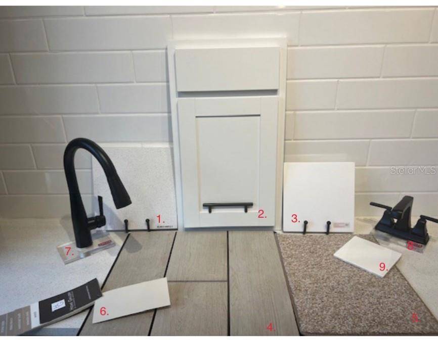 Mount Dora, FL 32757,813 SLIVER RIDGE LN