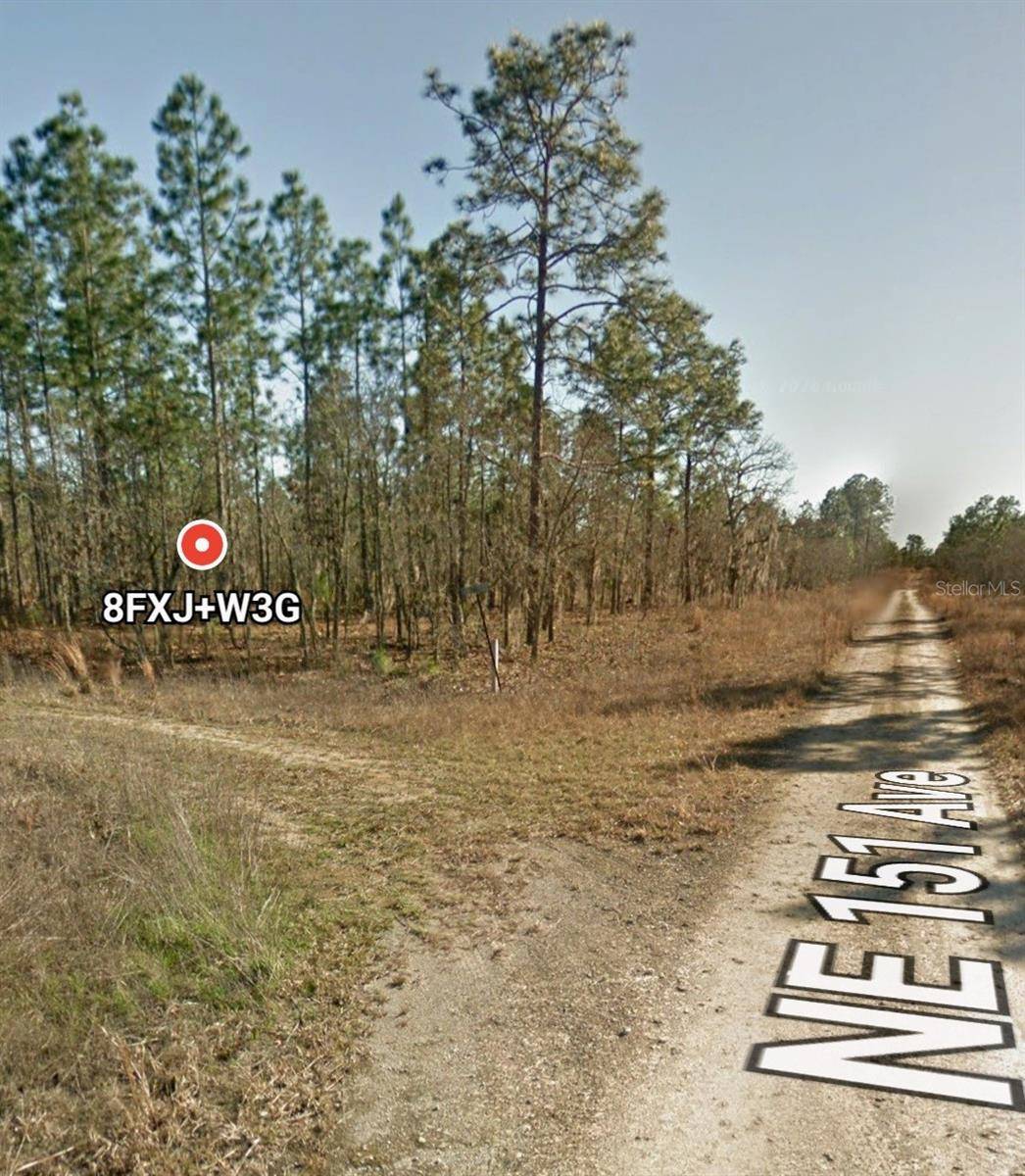 Williston, FL 32696,TBD NE 12 ST