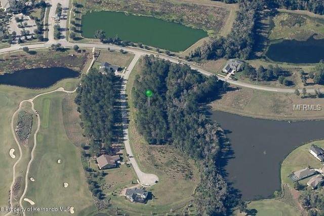 Brooksville, FL 34601,19535 AUTUMN OAK LN