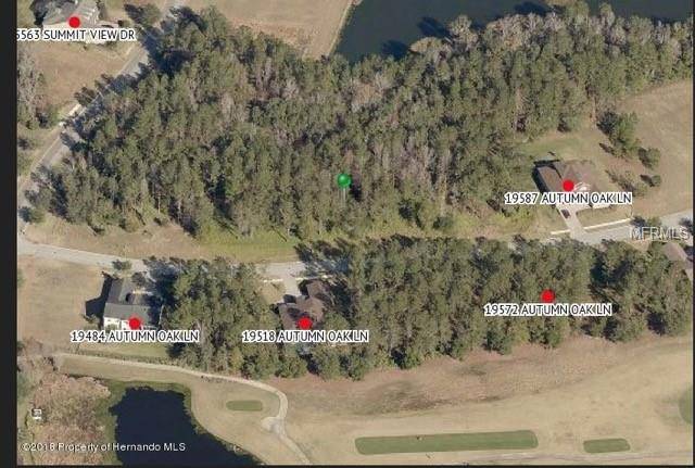 Brooksville, FL 34601,19535 AUTUMN OAK LN