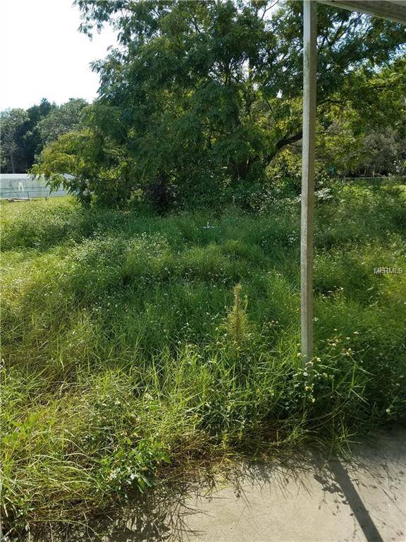 New Port Richey, FL 34654,11721 BRUIN DR