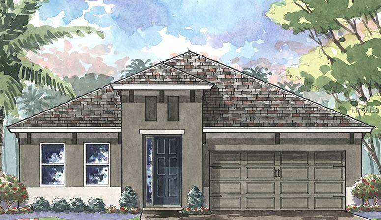 Apollo Beach, FL 33572,5424 SILVER SUN DR