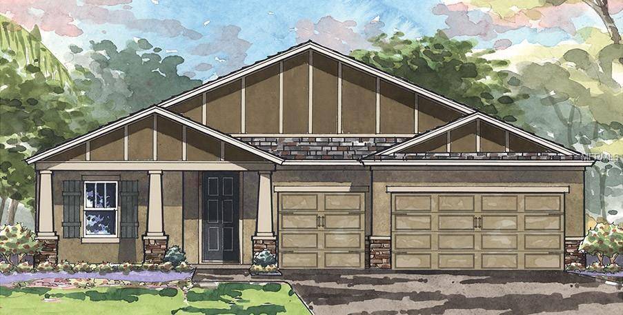 Apollo Beach, FL 33572,5362 SILVER SUN DR