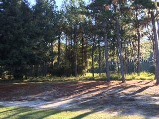 Brooksville, FL 34601,5033 MAJESTIC HILLS LOOP