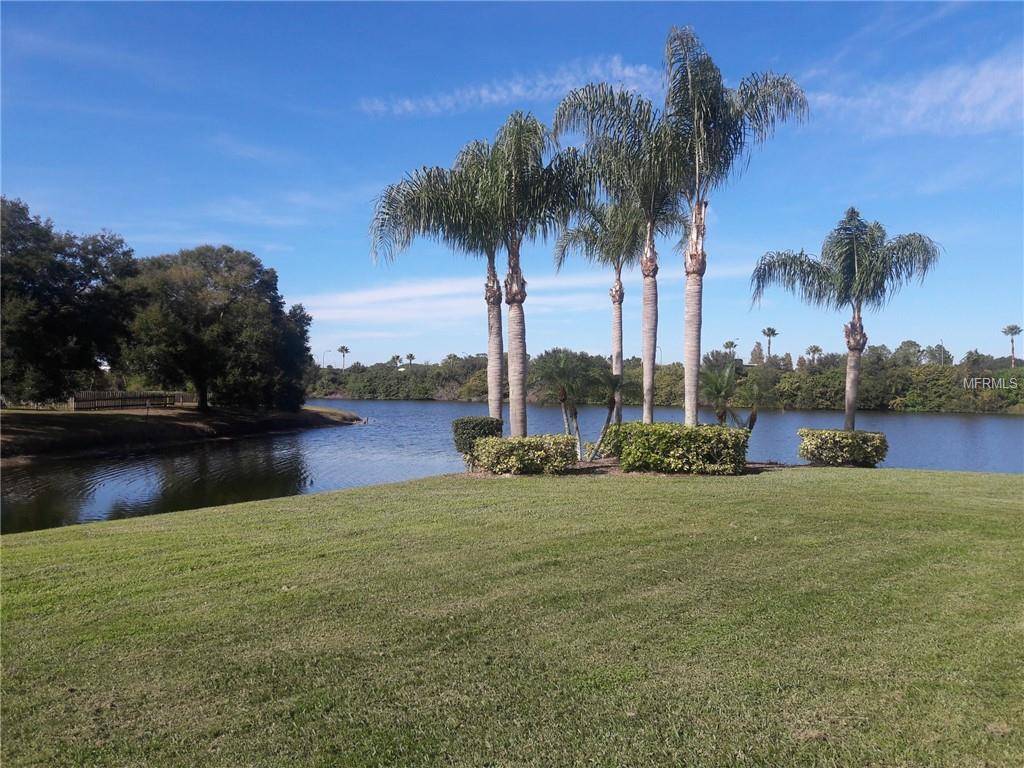 Brandon, FL 33511,351 KENSINGTON LAKE CIR