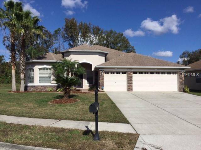 Land O Lakes, FL 34639,23307 DINHURST CT