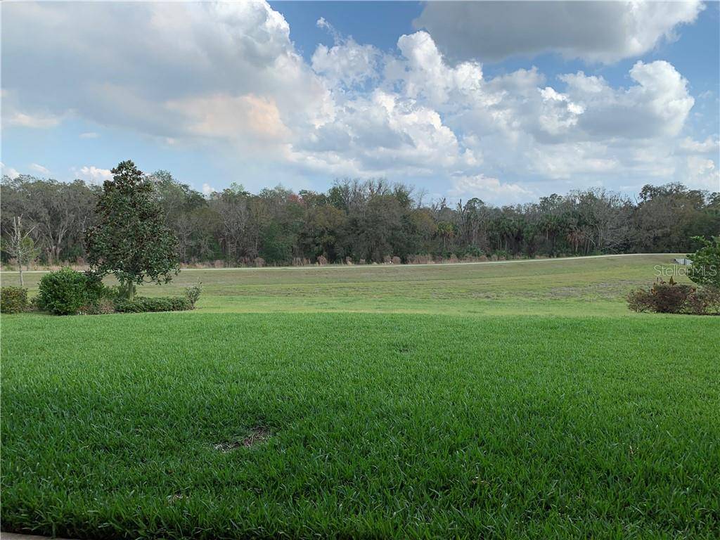 Lithia, FL 33547,5934 WATERCOLOR DR