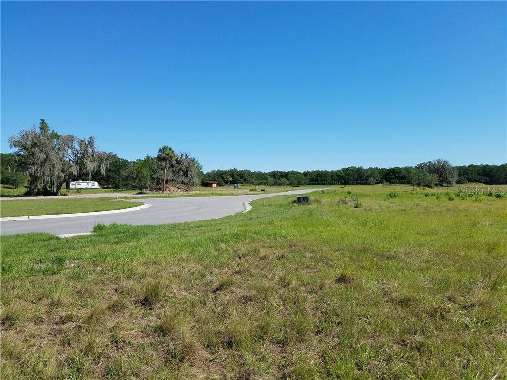 Lithia, FL 33547,15331 FISHHAWK HEIGHTS RUN