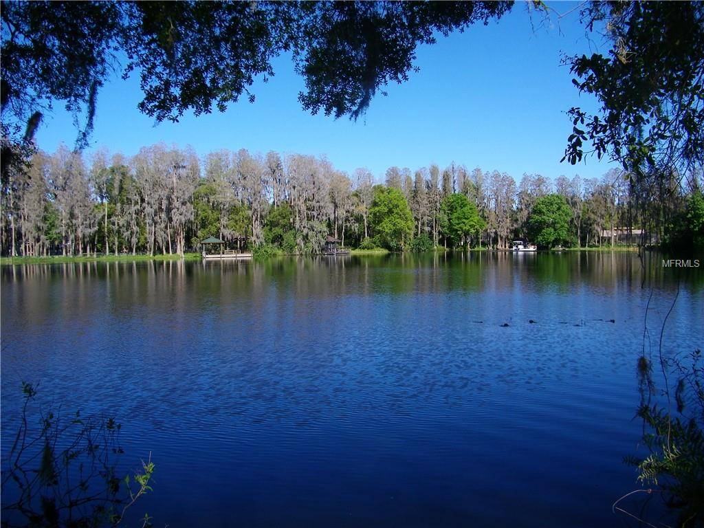 Lutz, FL 33558,17027 PAULA LN