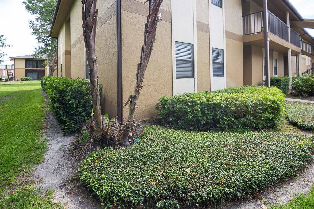 Largo, FL 33773,12293 SAILWINDS DR #101