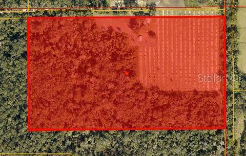 Plant City, FL 33567,8018 S COUNTY ROAD 39