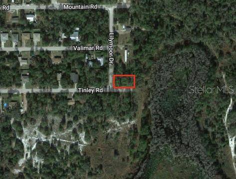 New Port Richey, FL 34654,000 TINLEY RD