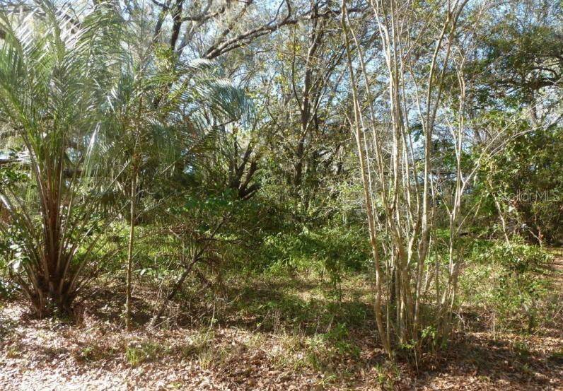 Brooksville, FL 34602,CONTIENA LN