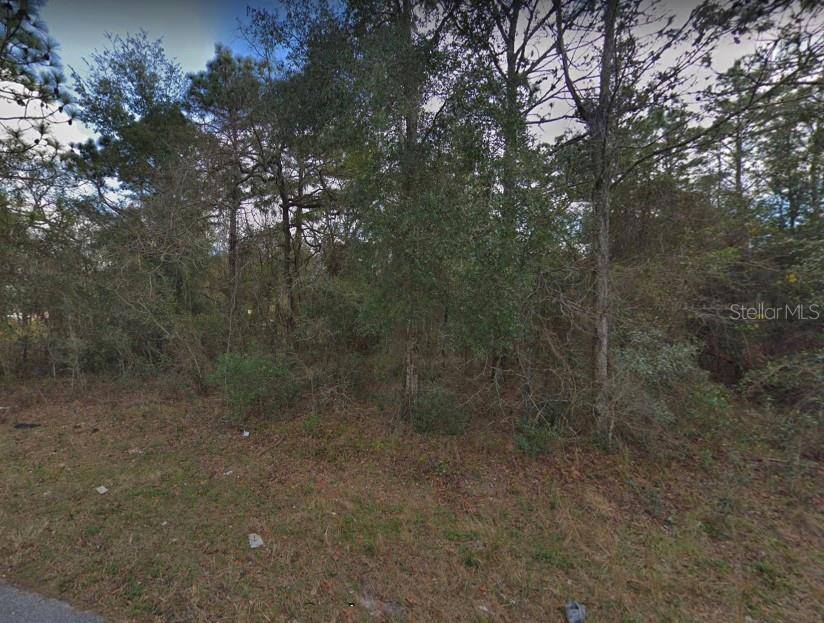 Spring Hill, FL 34610,17970 NELSON