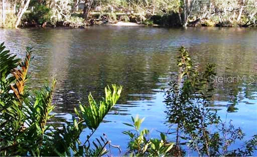 Riverview, FL 33578,7806 ALAFIA DR