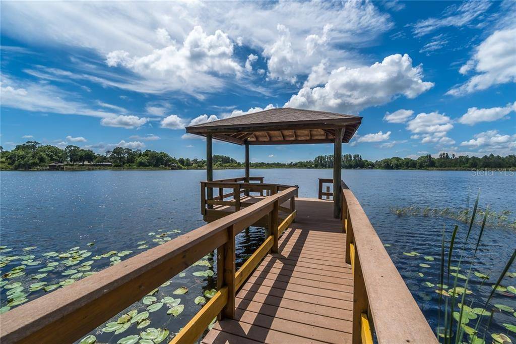 Land O Lakes, FL 34637,21513 CORMORANT COVE DR