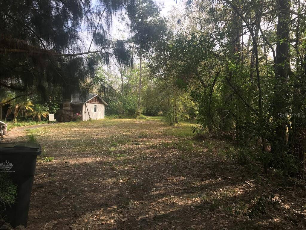 Lutz, FL 33558,17415 LAKESHORE RD