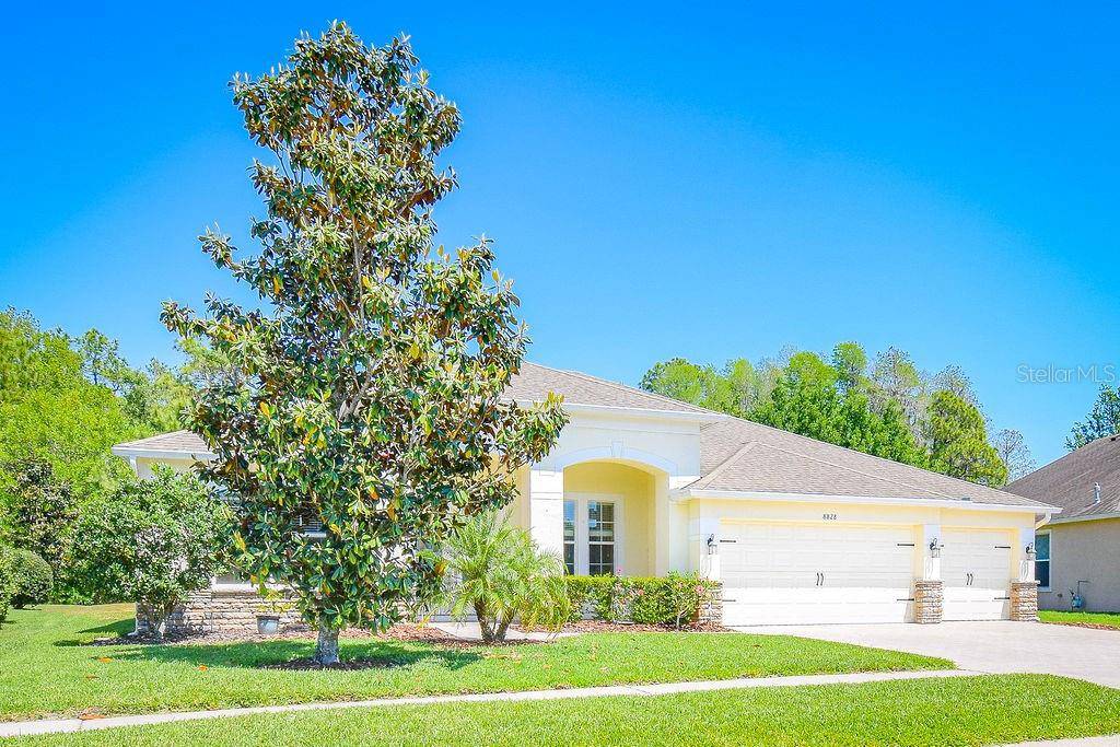 Land O Lakes, FL 34638,8828 CRYSTAL CREEK CT