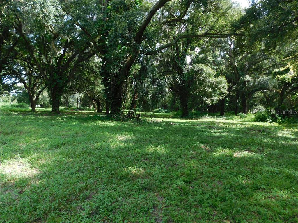 Lithia, FL 33547,8704 CAREY RD