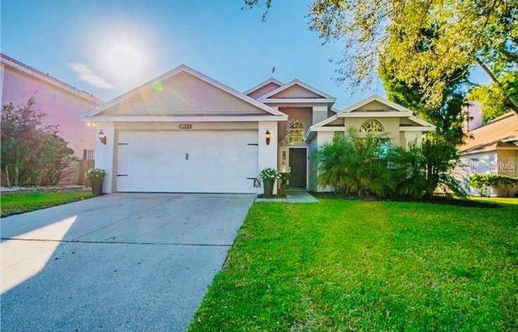 Palm Harbor, FL 34684,2911 SHANNON CIR