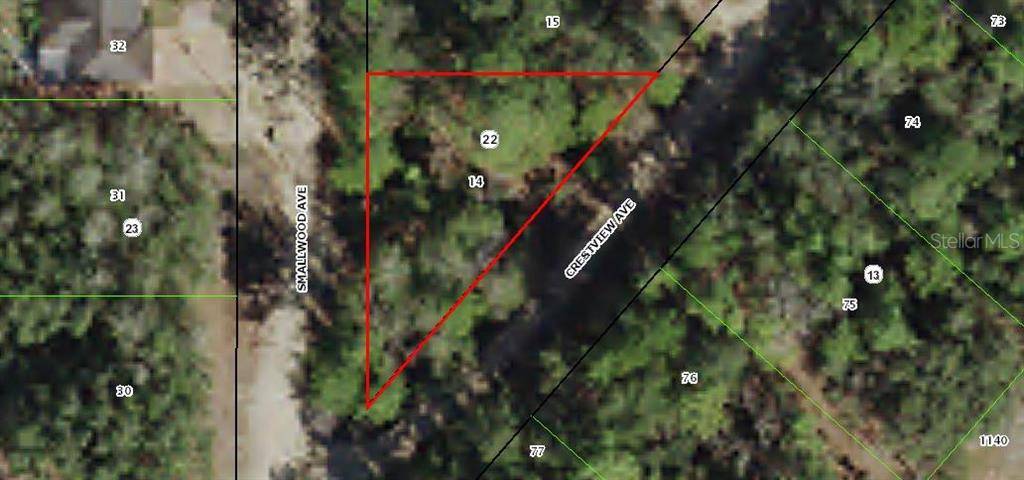 Inverness, FL 34453,408 S CRESTVIEW AVE