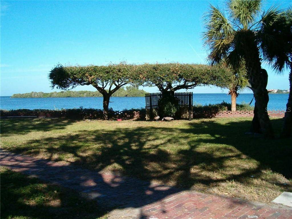 Palm Harbor, FL 34683,300 BAY ST