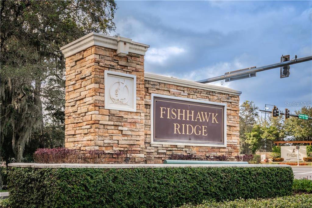 Lithia, FL 33547,15964 FISHHAWK VIEW DR