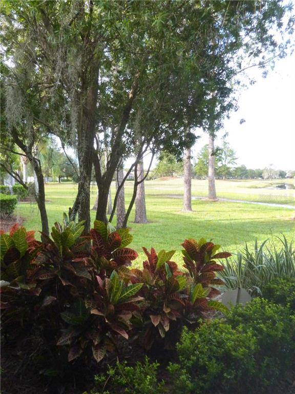 Land O Lakes, FL 34639,23931 CORAL RIDGE LN